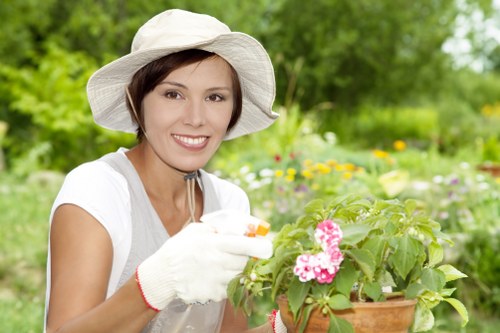 Eco-friendly lawn care practices