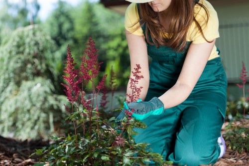 Landscaping work in Hampstead courtyard