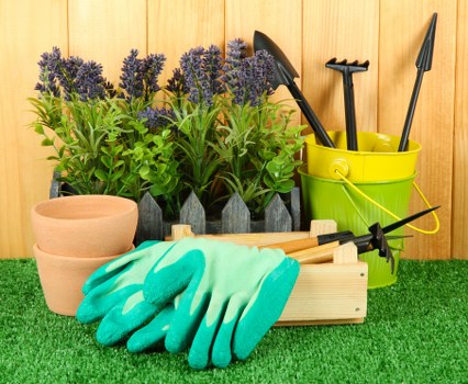 Autumn garden cleanup in Hampstead