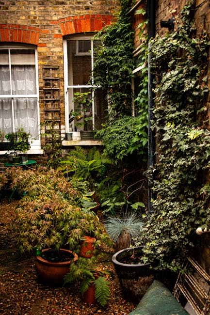 A cozy, densely planted garden courtyard adjacent to a brick-built period terrace house, featuring lush green foliage and a variety of potted plants, including ferns and small shrubs. The garden bed c